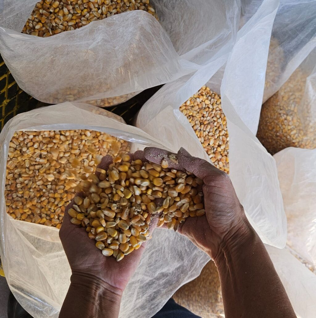 WhatsApp Image 2024-01-23 at 12.22.40