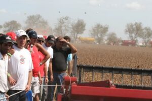 Pasion por los fierros