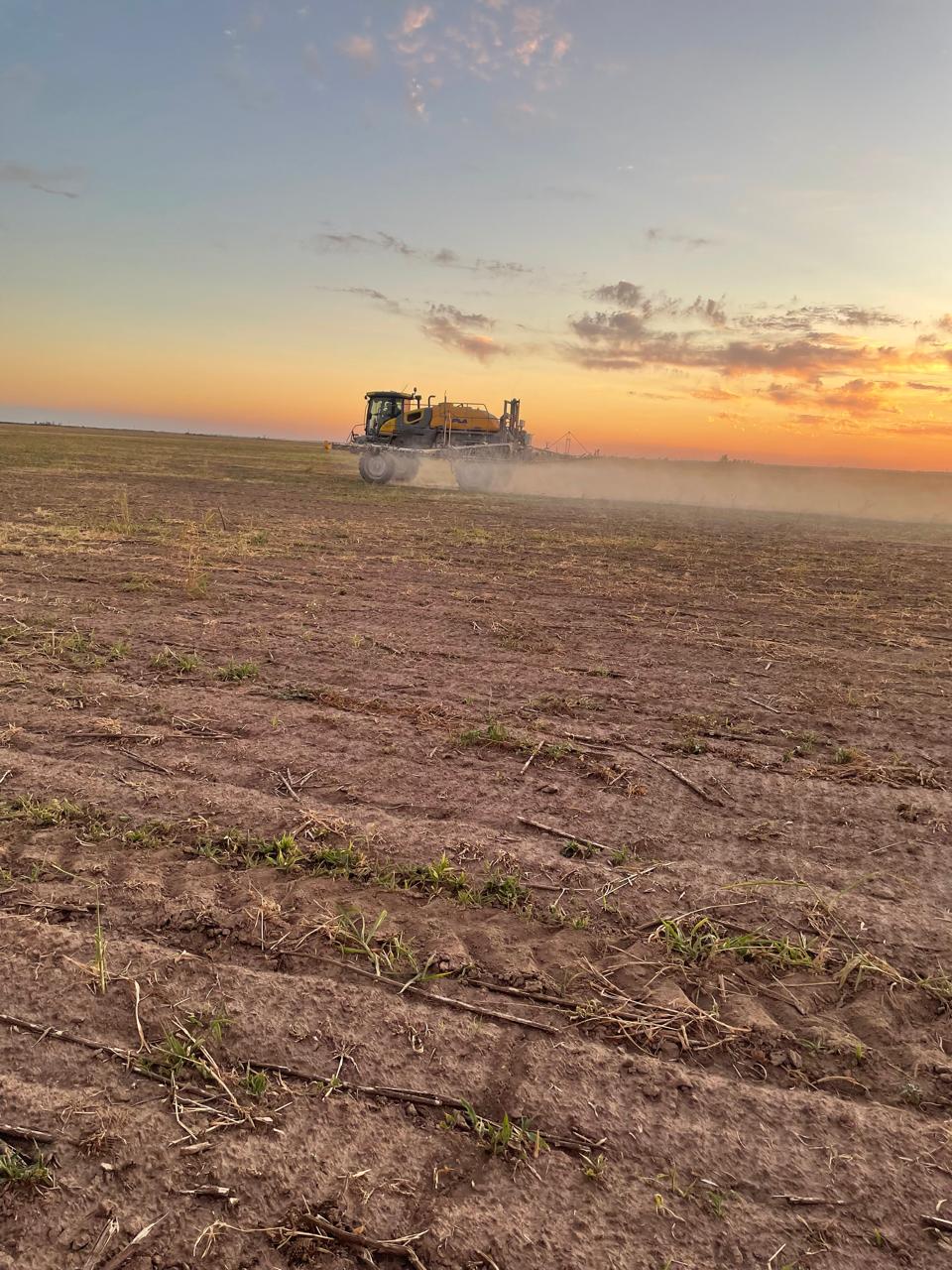 WhatsApp Image 2025-01-24 at 10.31.27