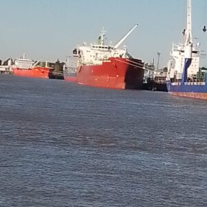 IMG_20220622_114456_634