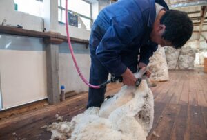 250505142529_original