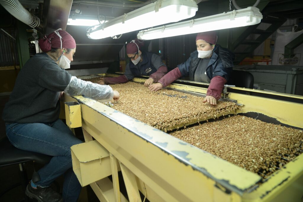 250704173315_original